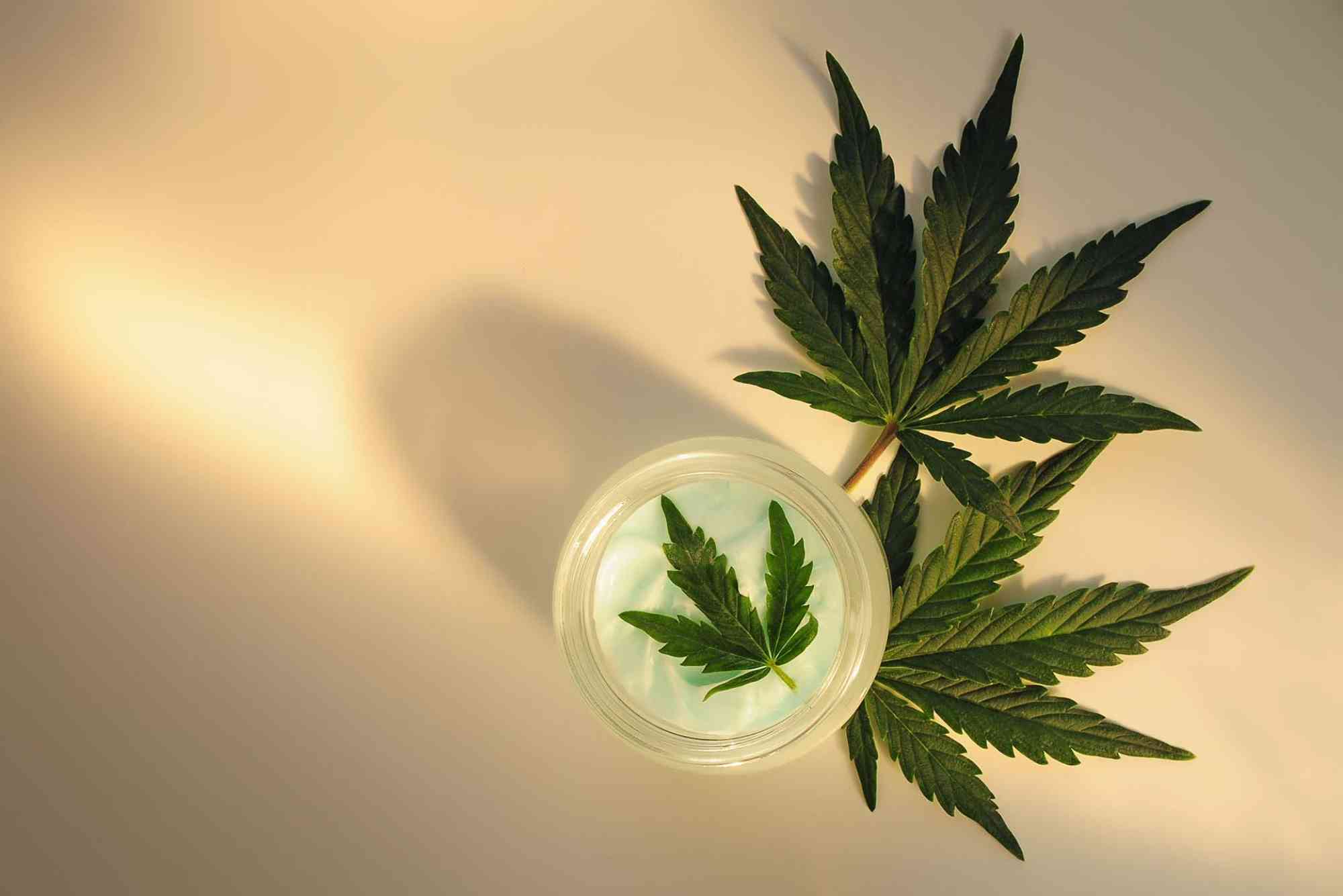 CBD Legal Status UAE