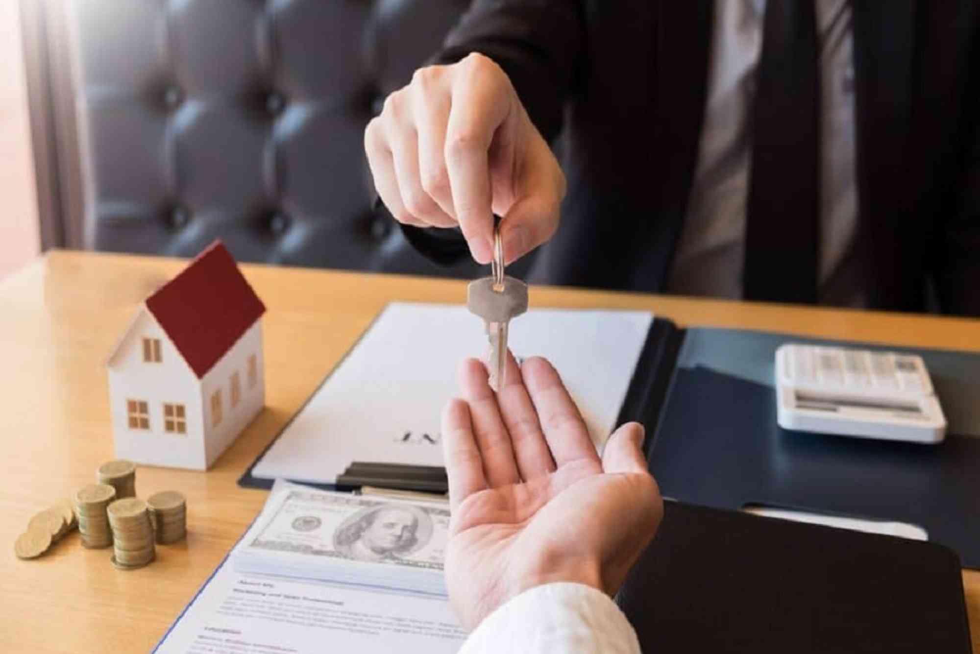 CBD Buying Checklist UAE