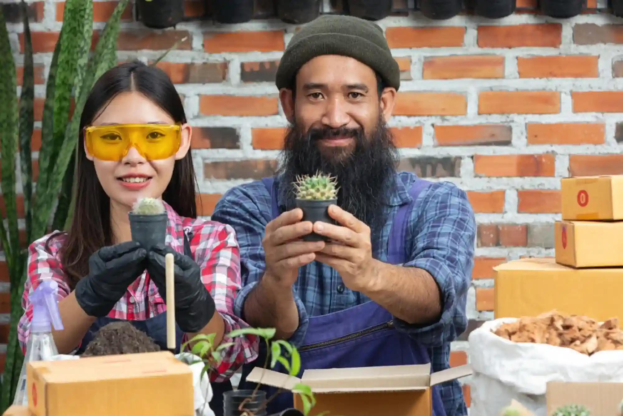 Exploring Wholesale THCA Flower