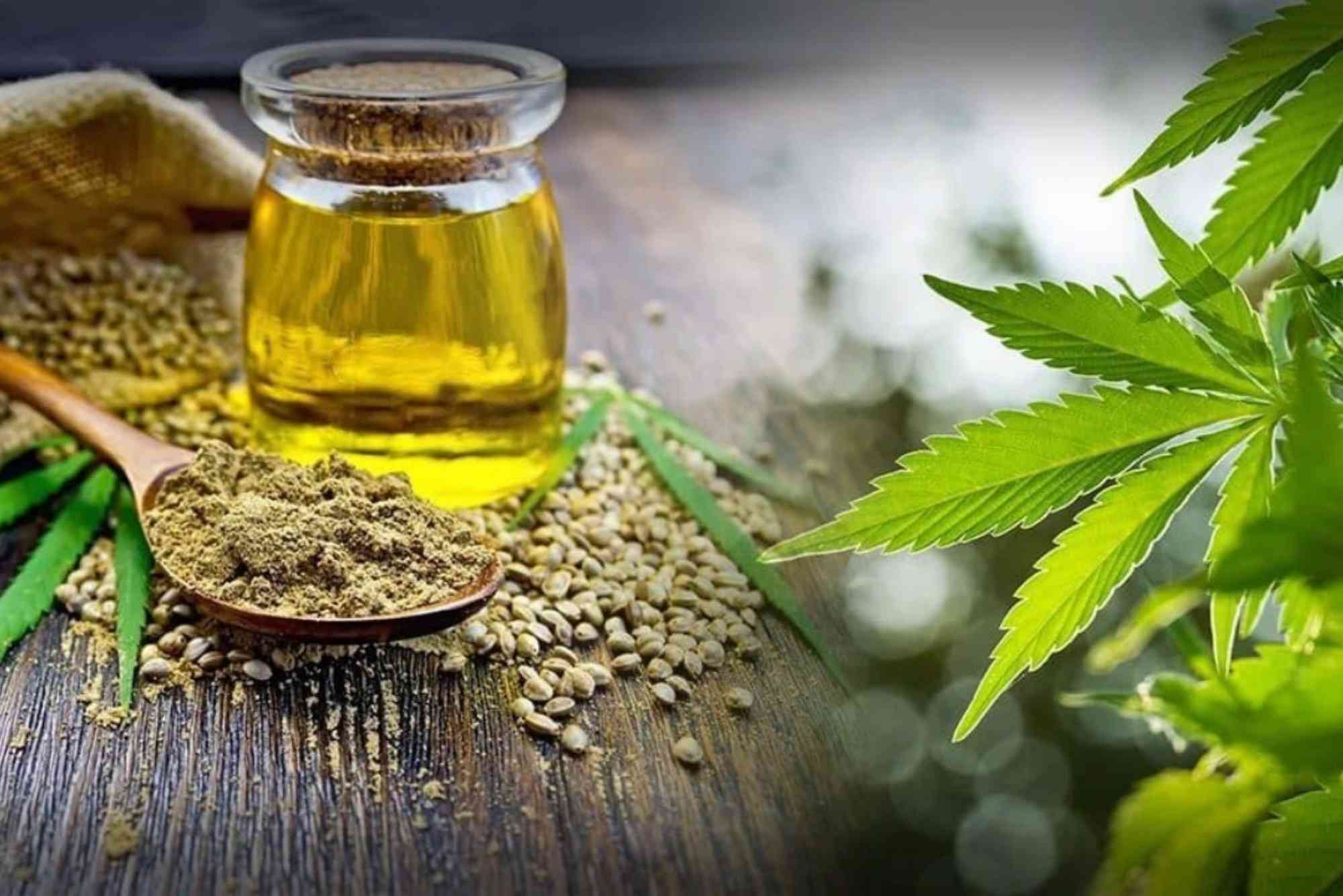 CBD Daily Benefits UAE
